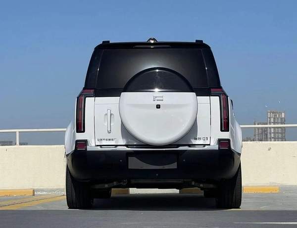 ROX 01 VIP 6 SEATERS 1.5L-4CYL RANGE EXTENDER + DUAL ELECTRIC MOTORS AWD