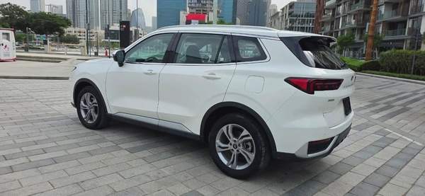 2023-Ford Territory-Excellent Condition-Under agency warranty and Service Contract