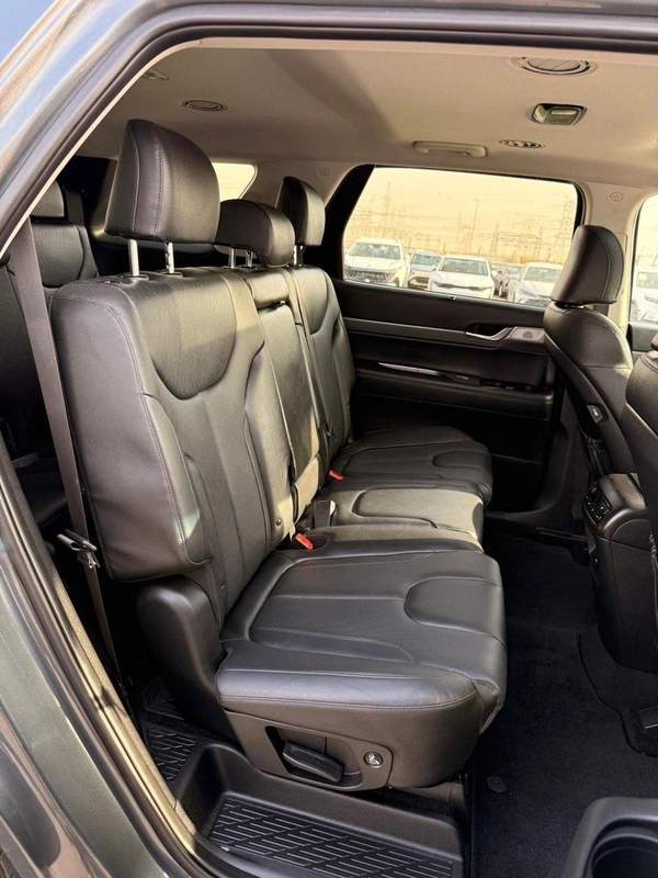 Hyundai Palisade Sel Full option 360 camera | Sunroof