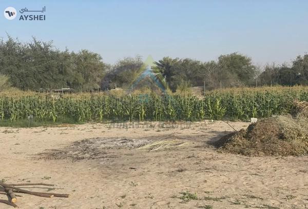 LAND FOR SALE IN SWEIHAN