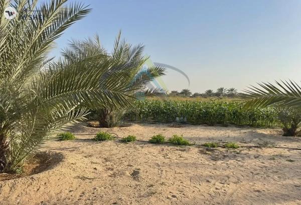 LAND FOR SALE IN SWEIHAN