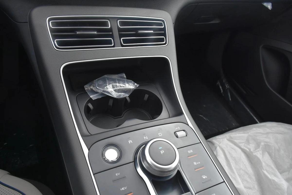 BYD DESTROYER 05 2025 | GREY-10-10