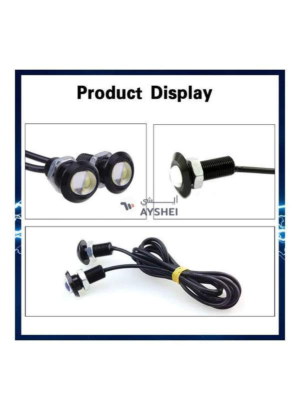 Generic 2-Piece Eagle Eye LED Bulbs