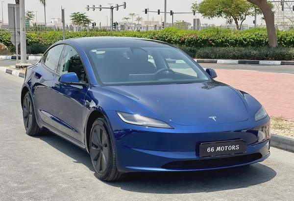 2024 model 3 Chinese Version