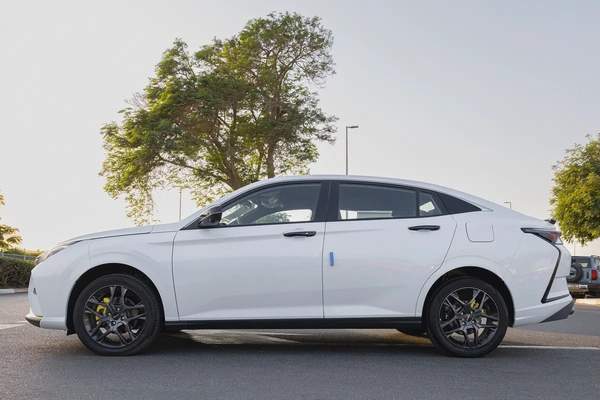 DONGFENG | SHINE | E3 | 2025 (Export)