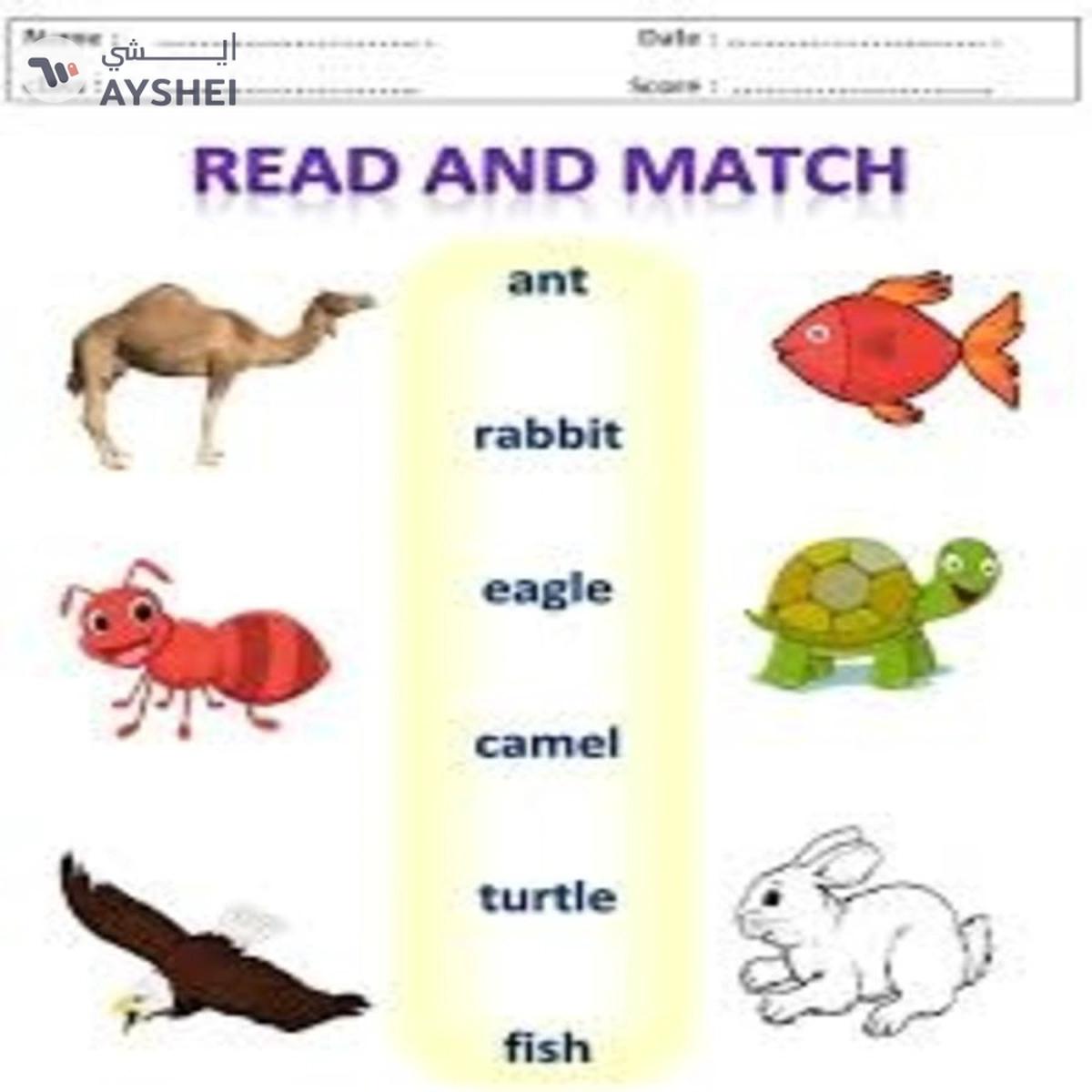 Smart - 1082 Read and Match Animals-1-1
