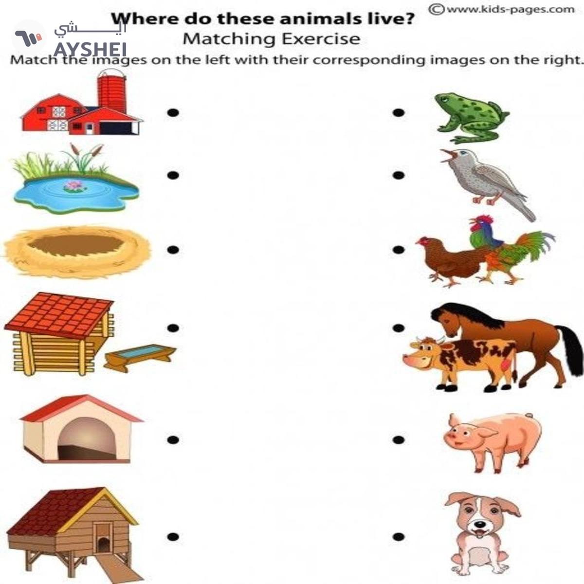 Smart - 1082 Read and Match Animals-1-portrait