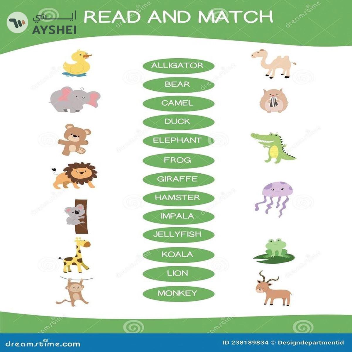 Smart - 1082 Read and Match Animals-5-5