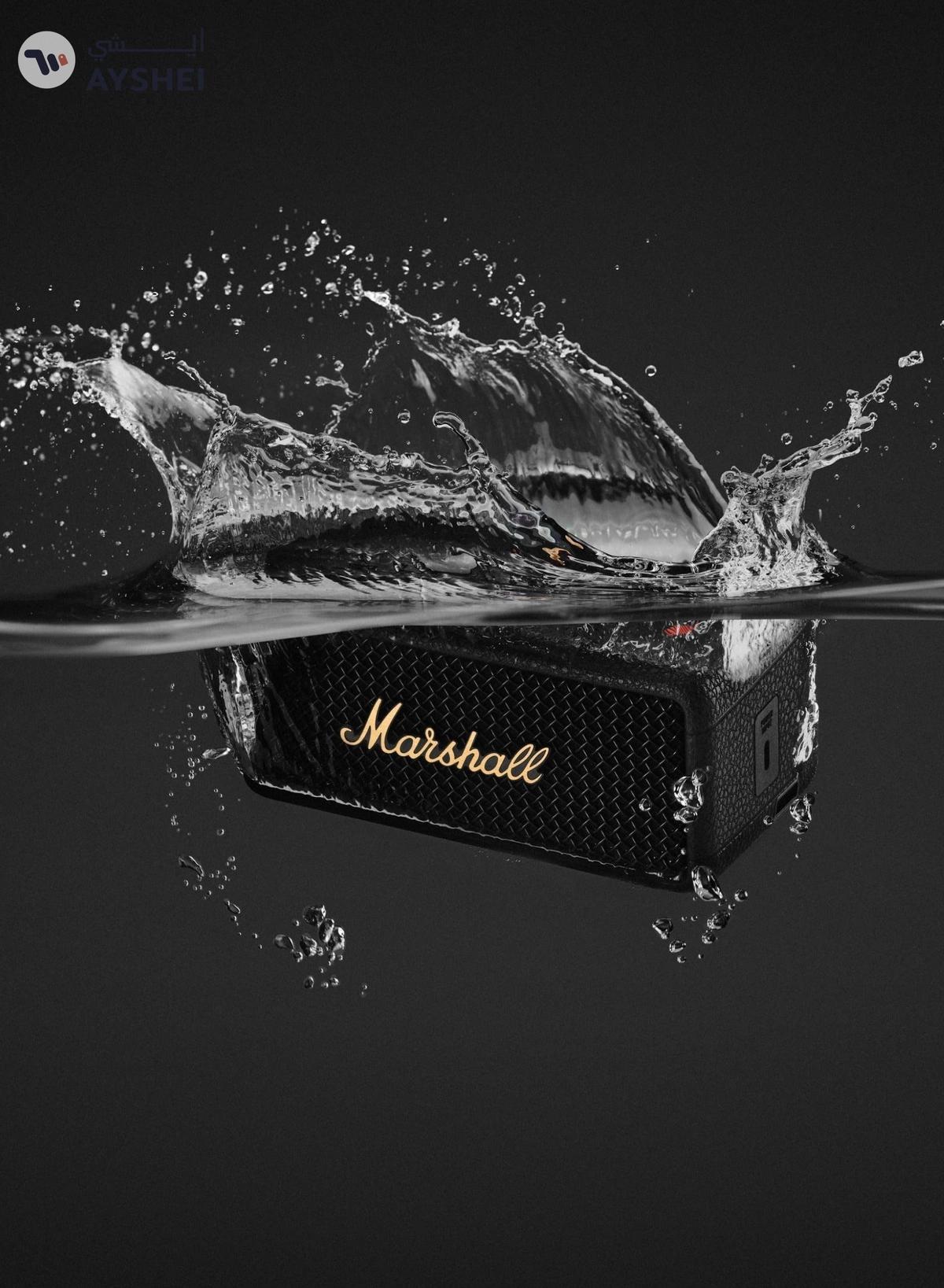 Marshall Emberton III Portable Bluetooth Speaker-4-4