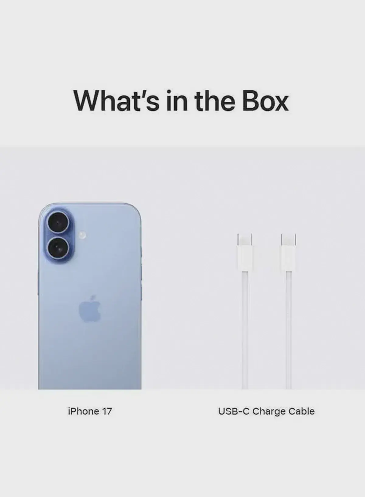 Apple iPhone 17 256GB Mist Blue 5G (eSim only) With FaceTime - International Version-2-2