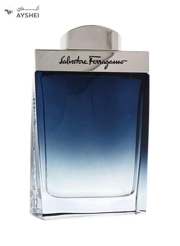 Salvatore Ferragamo Subtil EDT 100ml