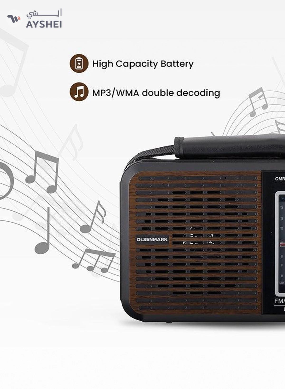 Olsenmark Portable FM/AM/SW Radio & Music Player with USB/SD/BT, High Sound Quality, Low Noise-0-portrait