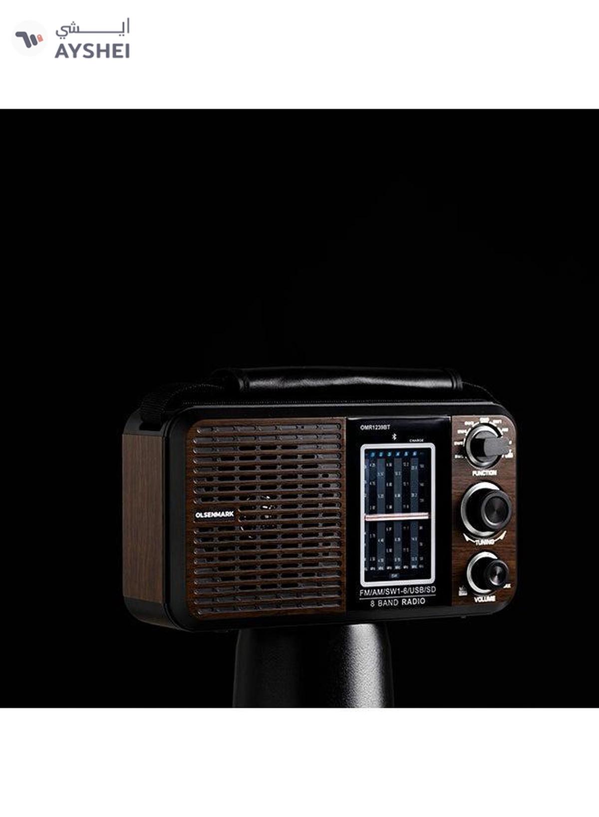 Olsenmark Portable FM/AM/SW Radio & Music Player with USB/SD/BT, High Sound Quality, Low Noise-2-2