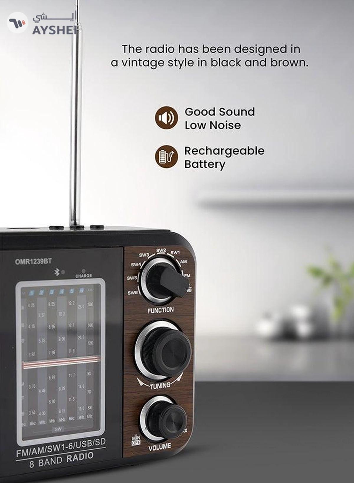 Olsenmark Portable FM/AM/SW Radio & Music Player with USB/SD/BT, High Sound Quality, Low Noise-4-4
