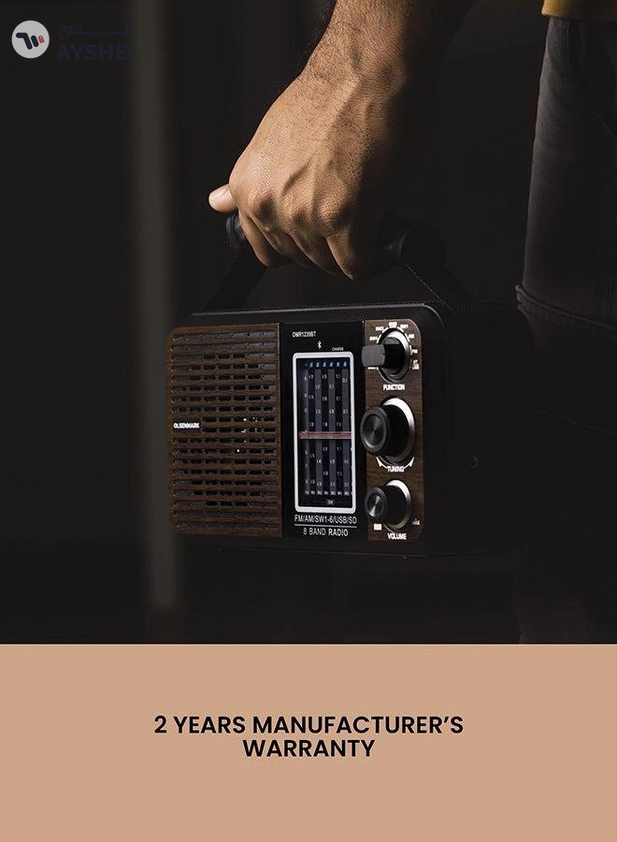 Olsenmark Portable FM/AM/SW Radio & Music Player with USB/SD/BT, High Sound Quality, Low Noise-5-5