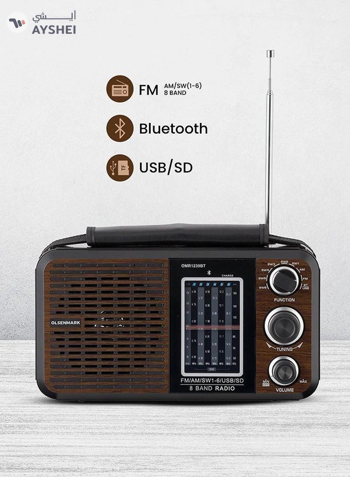 Olsenmark Portable FM/AM/SW Radio & Music Player with USB/SD/BT, High Sound Quality, Low Noise-0-portrait