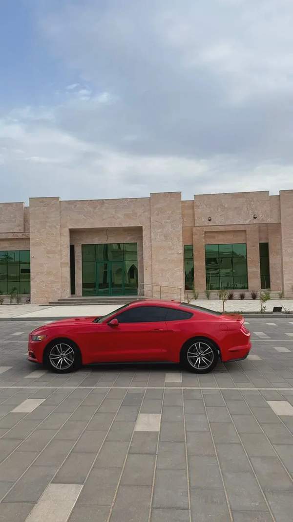 2017 Ford Mustang Ecoboost Premium - American Specs