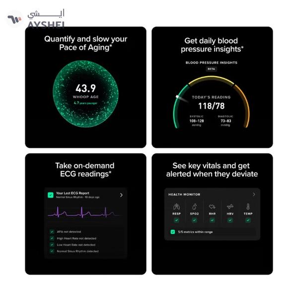 Whoop Life – 12-Month Membership – 5.0 – Health & Fitness Tracker – Blood Pressure Insights