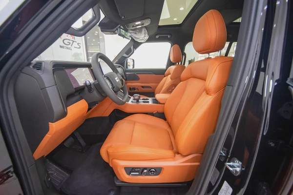 EV 2026 VIP ROX 01 SPECIAL PRICE