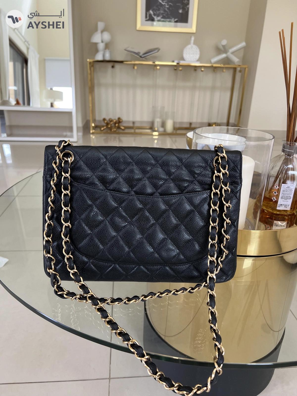 Chanel Jumbo double flap bag-1-portrait