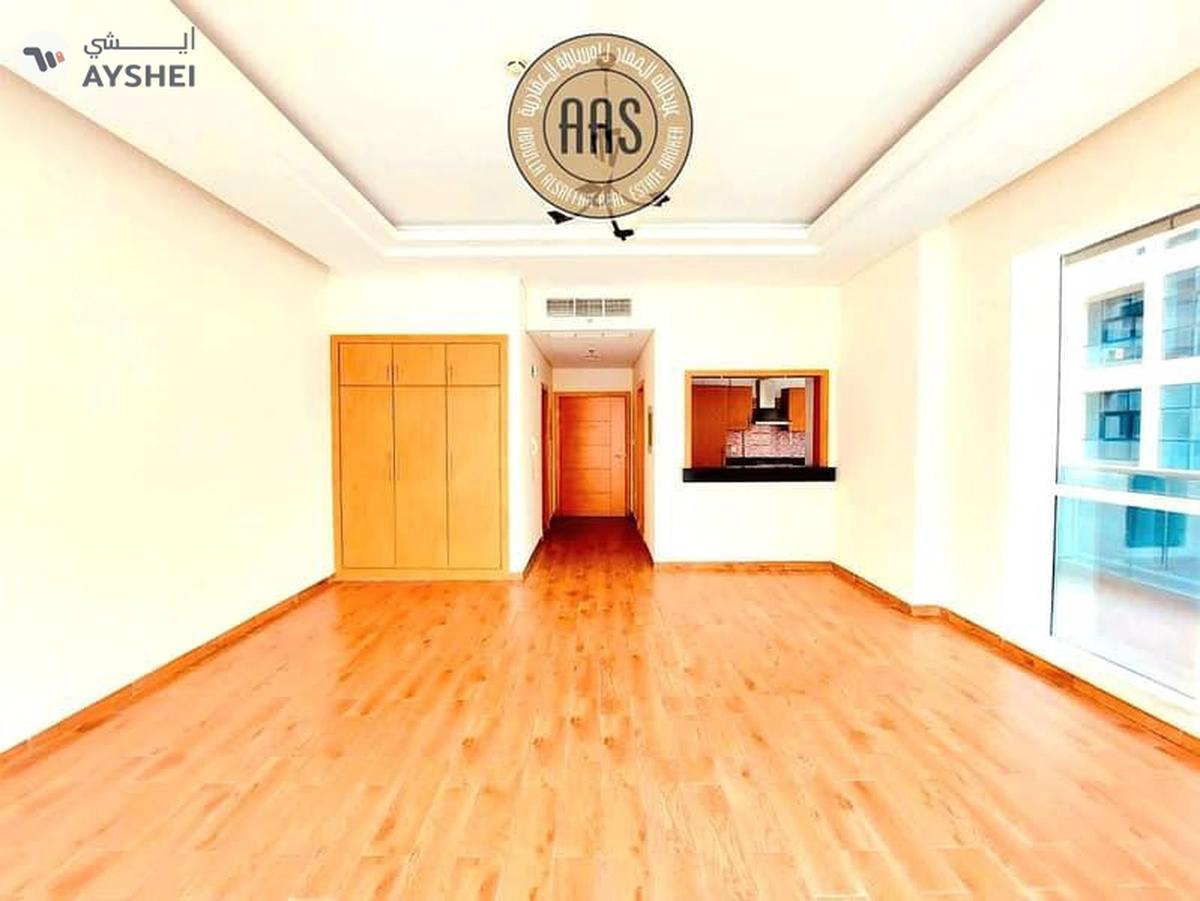 Chiller free luxurious huge Studio with all amenities-1-landscape