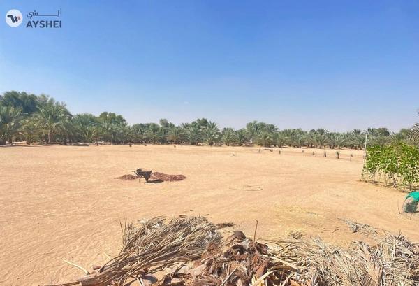FARM FOR SALE IN AL AJBAN