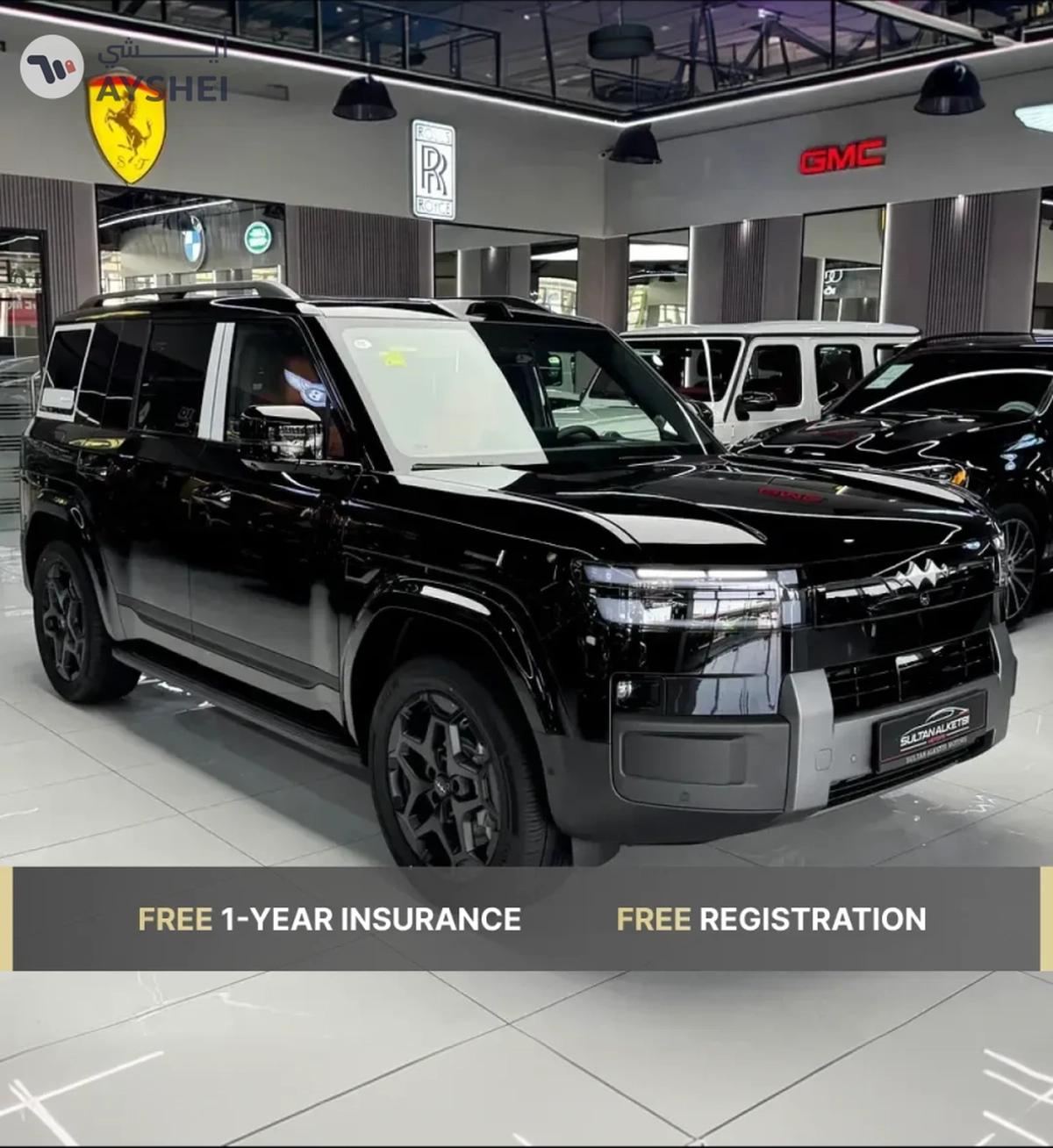 BYD Leopard 7 Titanium Edition with Complimentary 1-Year Insurance and Registration-3-3