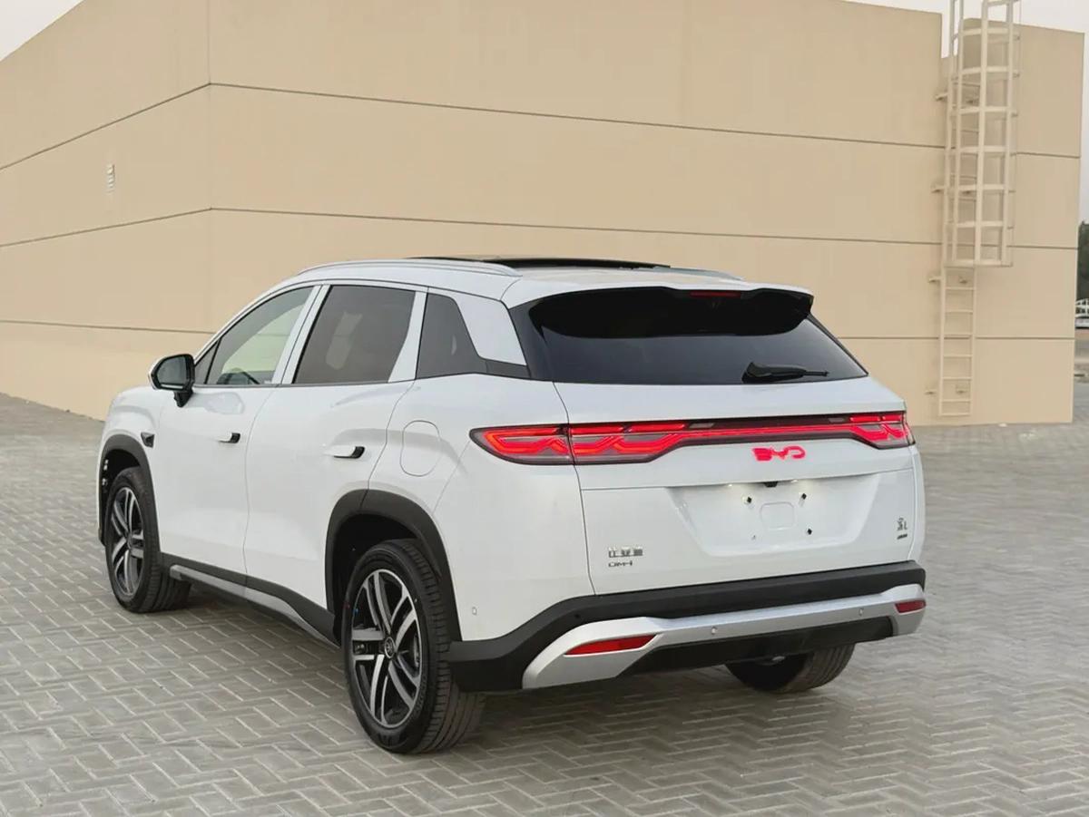 BYD song L DM- i 2025 full option panorama 13 camera-7-7
