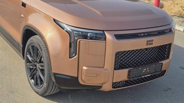 ROX ADAMAS VIP (Gold White)