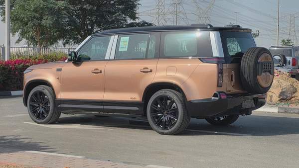 ROX ADAMAS VIP (Gold White)