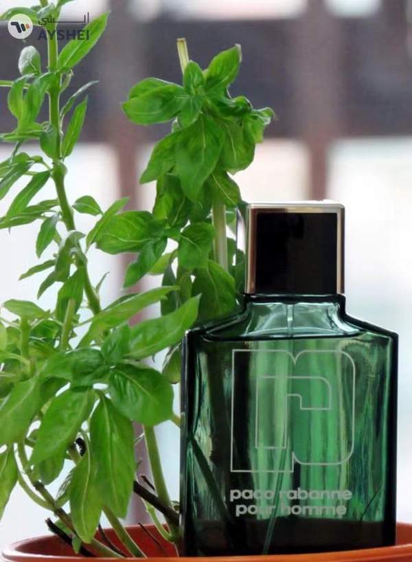 paco rabanne Pour Homme EDT 100ml