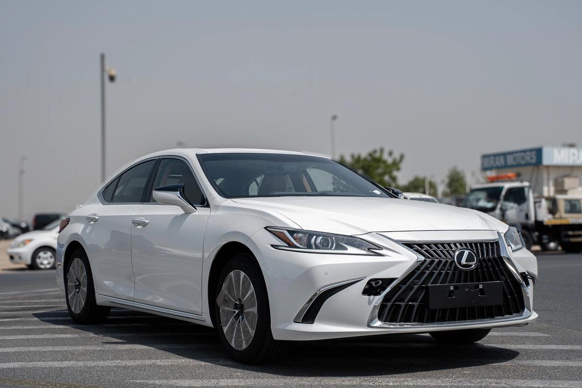 Lexus ES-Series 300 h-6-6
