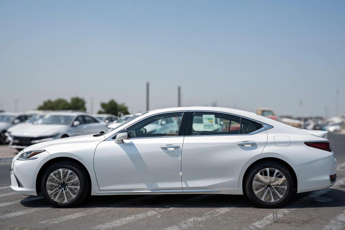 Lexus ES-Series 300 h-17-17