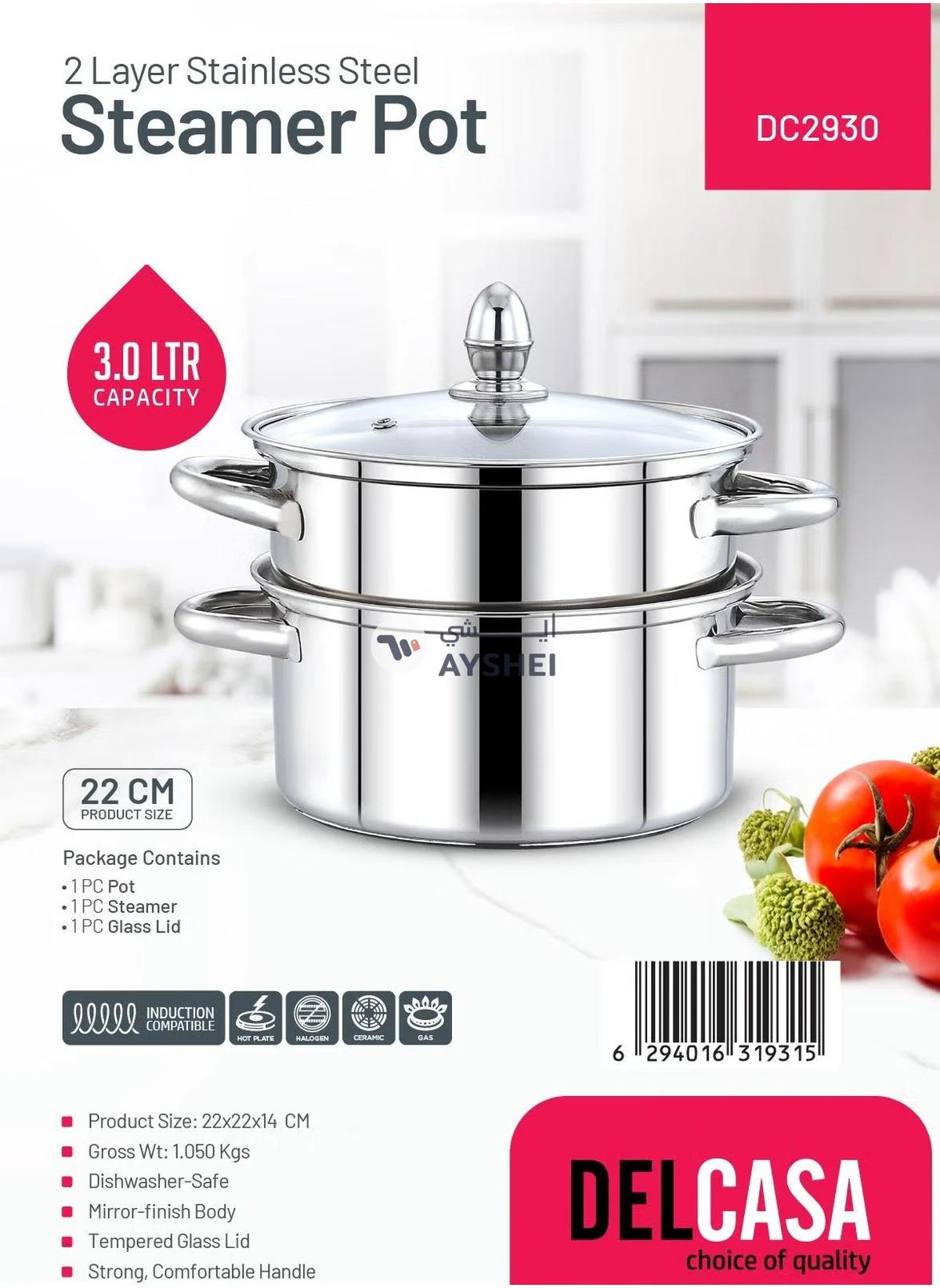 DELCASA 2 Layer SS induction Steamer pot with Glass Lid 22CM 3.0L-1-portrait