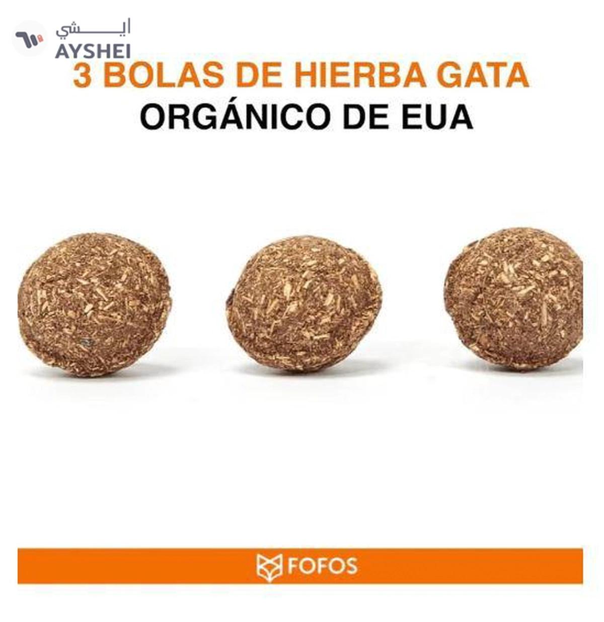 Fofos sound chip black bird with catnip balls cat toy-1-portrait