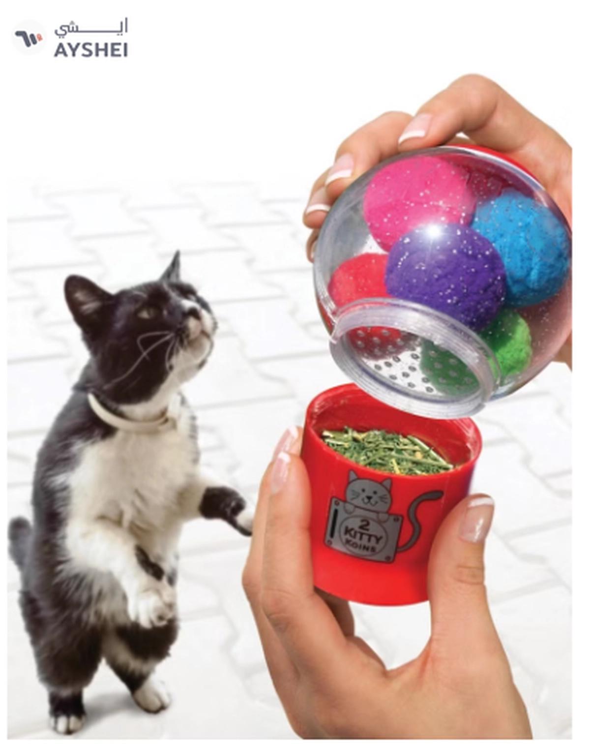 Kong Catnip Infuser Cat Toy-0-portrait