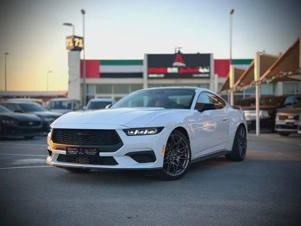 قمه بالنظافه .. عداد قليل .. اوراق جمارك