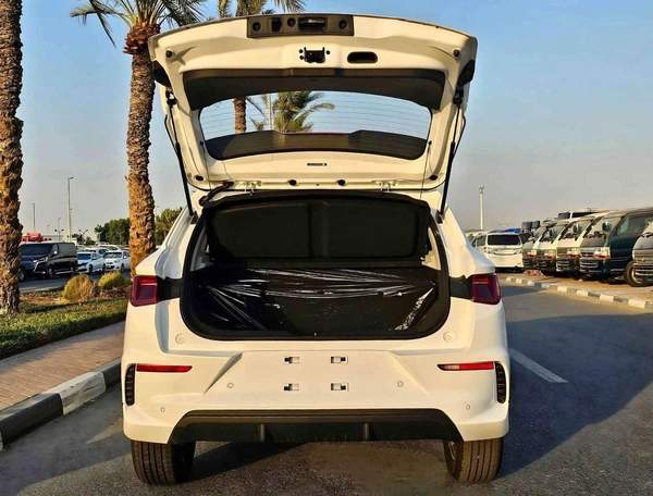 BYD e2 ELECTRIC LUXURY | 405KM RANGE (CODE # 68028)