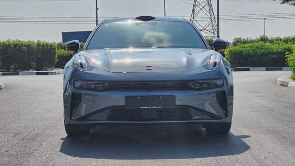 ZEEKR 001 AWD (Grey White)