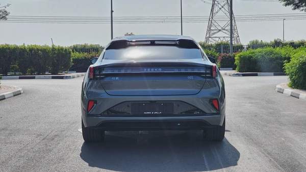 ZEEKR 001 AWD (Grey White)