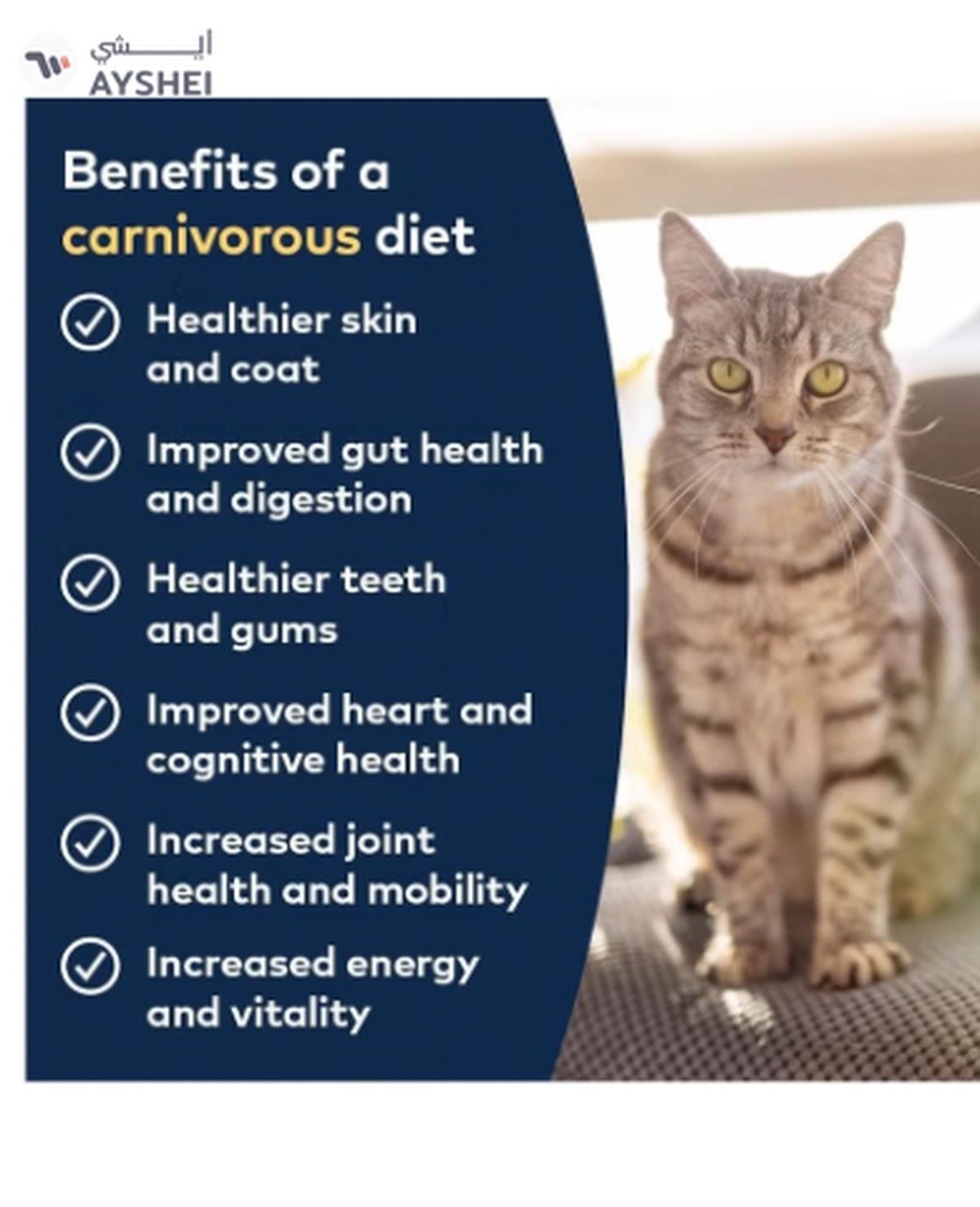 ZiwiPeak Cat Tin Venison 185G-2-2