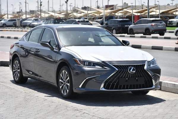 NEW ES250 GCC 2023 | GREY LIKE