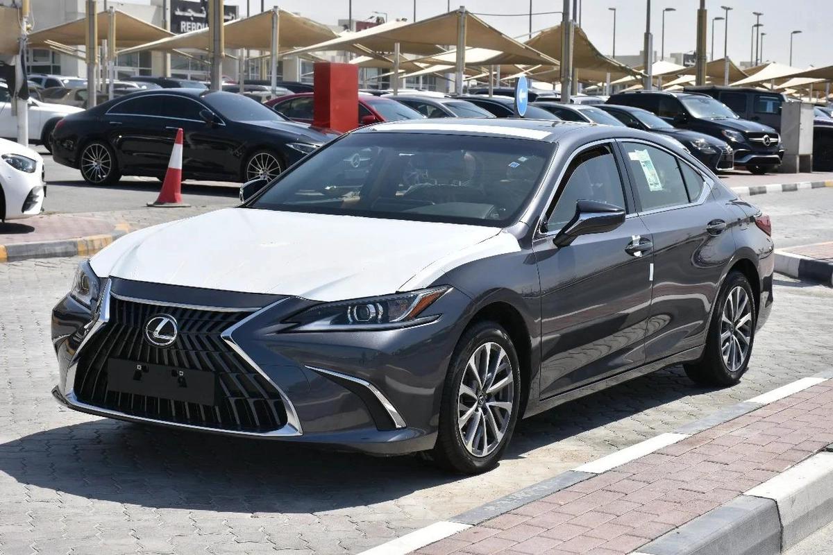 NEW ES250 GCC 2023 | GREY LIKE-0-0