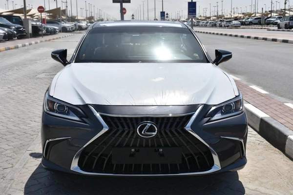 NEW ES250 GCC 2023 | GREY LIKE