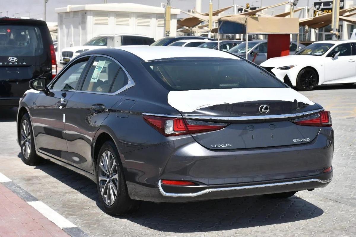 NEW ES250 GCC 2023 | GREY LIKE-14-14