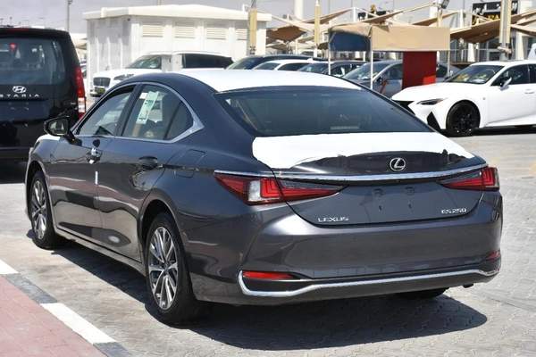NEW ES250 GCC 2023 | GREY LIKE