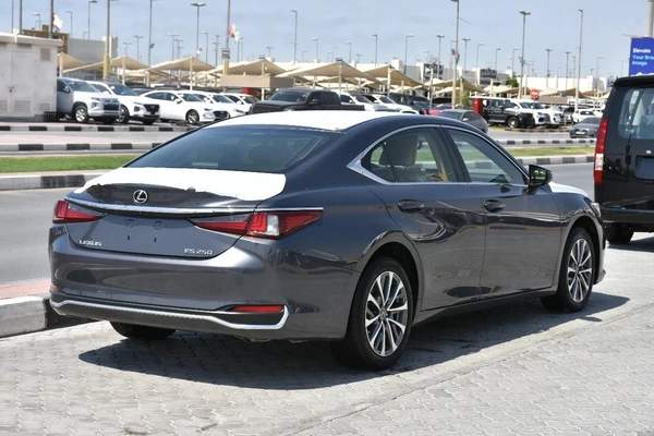 NEW ES250 GCC 2023 | GREY LIKE