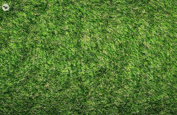 YATAI 40mm Artificial Grass Carpet - Indoor Outdoor Garden Lawn Landscape Synthetic Grass Mat