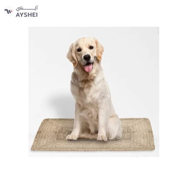 Raymond Natural Jute Rug Eco Friendly Area Rugs for Bedroom