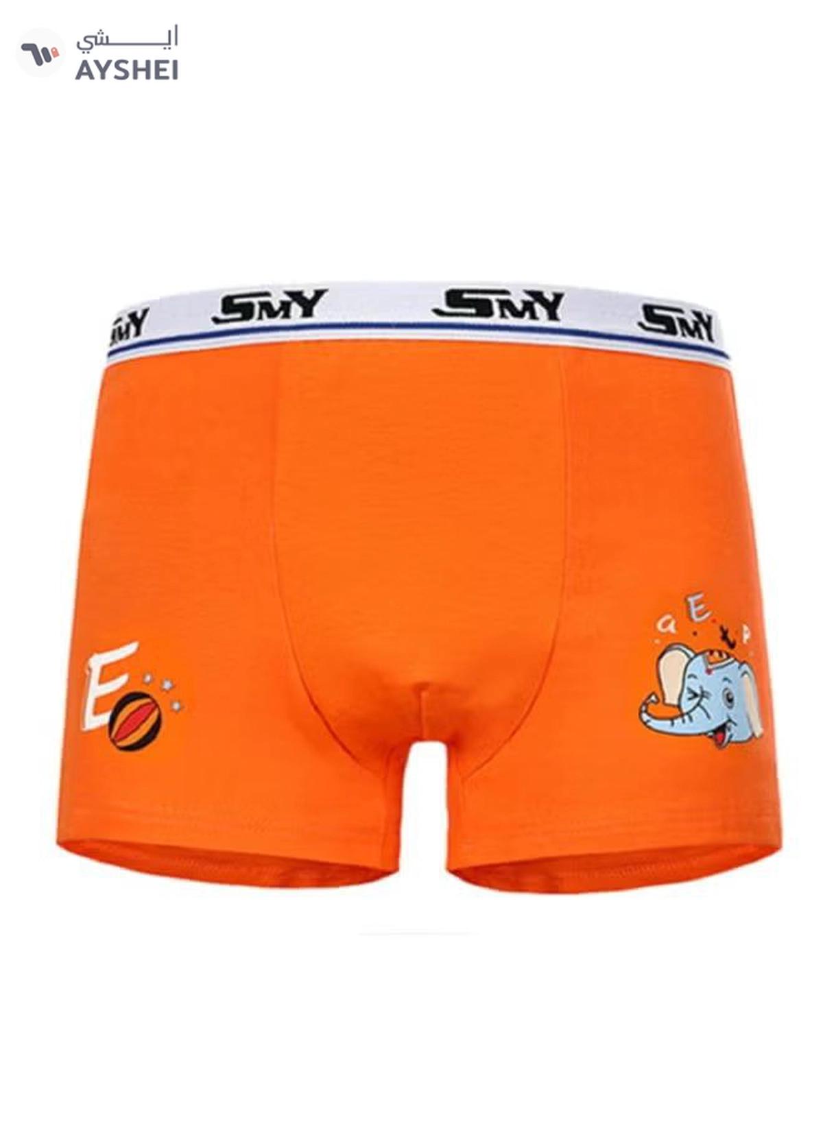 babyqlo 4 Pack Elephant Printed Boxer Multicolour-4-4